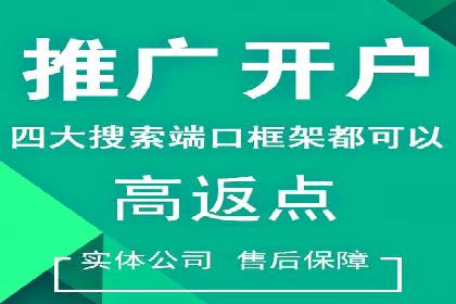 金融行业SEM推广的挑战与机遇